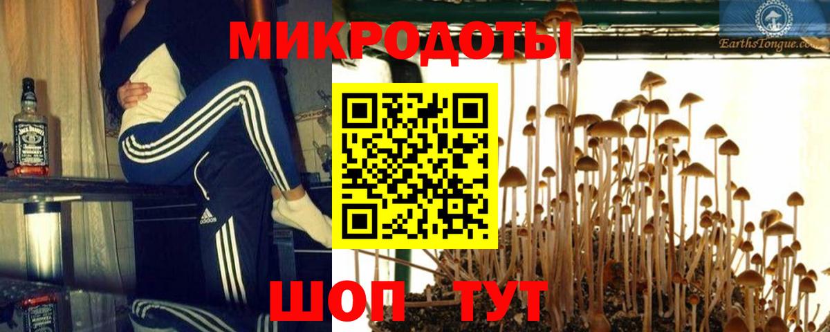 Анжеро-Судженск  Псилоцибиновые грибы Psilocybine cubensis  Вход с VPN 